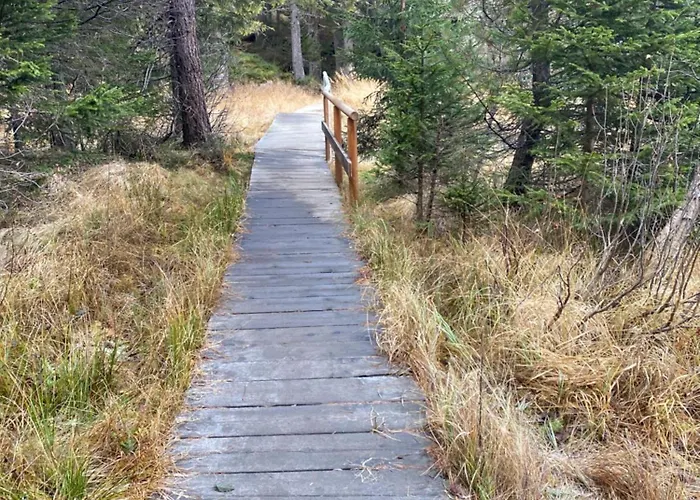 Апартаменты Petit Canada - A Louer