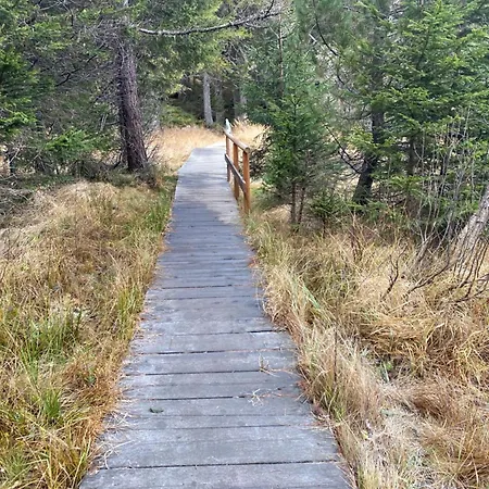 Lejlighed Petit Canada - A Louer