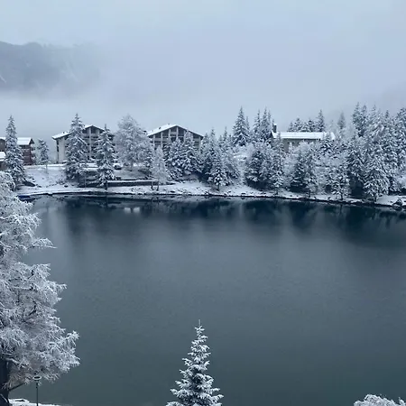 アパート Petit Canada - A Louer *